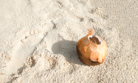 Opened coconut on white sand on the beachの写真素材
