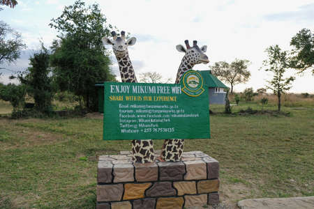 Mikumi, Tanzania - July 10, 2018: Rules in national park Mikumiのeditorial素材