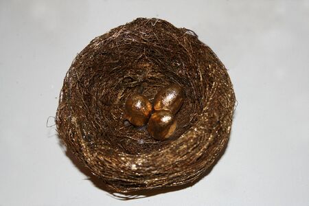 Golden eggs easter nestの写真素材