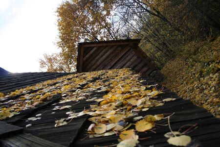 House in a forest - Autumn Landscape, beautiful vivid natureの写真素材