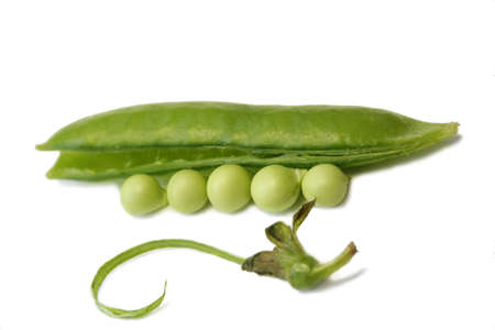Peas over the white. Still lifeの写真素材