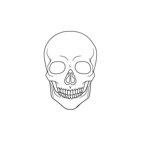 Modern Minimalist Human Skull LIne Icon Vector Illustration. Simple skeleton of head outline icon for halloween concept. Skull symbol isolated on white background. Bone cranium halloween brainpanのイラスト素材