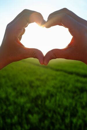 Heart symbol