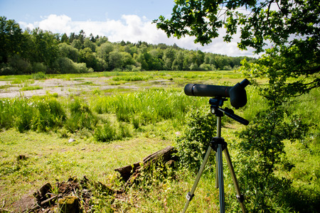 Birdwatching in the wildernessの写真素材