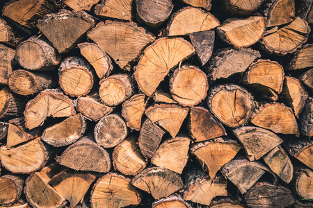 Firewood texture with nice tree cracks and tree rings in it.の写真素材