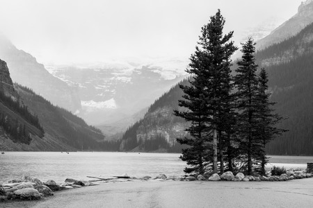 Photo of the lake louis in Canadaの写真素材