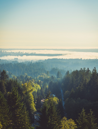 aerial photo of the forests and Vancouver in the backgroundの写真素材