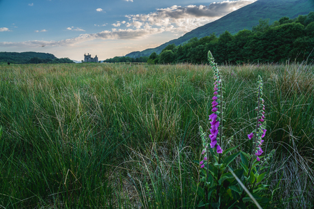 Kilchurn Castle is a ruined structure on a rocky peninsula at the northeastern end of Loch Awe, in Argyll and Bute, Scotland. It was first constructed in the mid-15th century as the base of the Campbells of Glenorchy, who extended both the castle and their territory in the area over the next 150 years.の写真素材