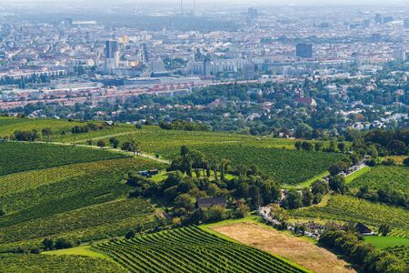 Aerial Photo of Vienna, capital city of Austria, Europe - vineyards in the foreground