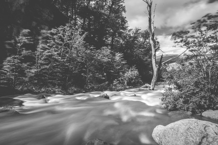Black and white photograph of a mountain river. Shevelev.の写真素材