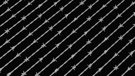 Ordered array of clean barbed wire on a simple background. This image is a 3d illustration.の写真素材