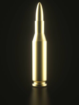Gold rifle round in a black space with diffuse light basking it in a reflective glow. This image is a 3d rendering.の写真素材