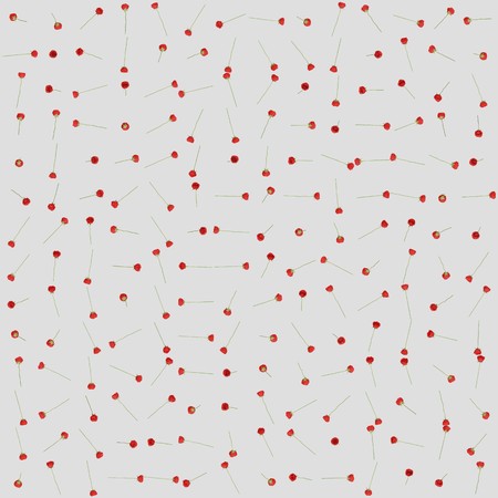 Huge float array of various rotated red roses at equal distances on a blank white background. This image is a 3d render.の写真素材