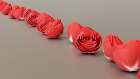 Neat line of variously oriented roses on a modern minimalist neutral surface. This image is a 3d rendering.の写真素材