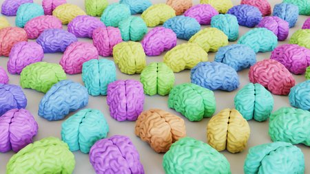 Neat uniform array of variously coloured Brains under clean studio lighting. This image is a 3d illustration.の写真素材