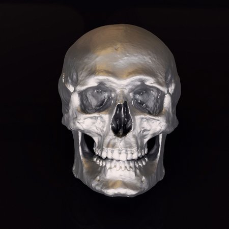 Front view of a steel skull sculpture with warm lighting on its crown. This image is a 3d render.