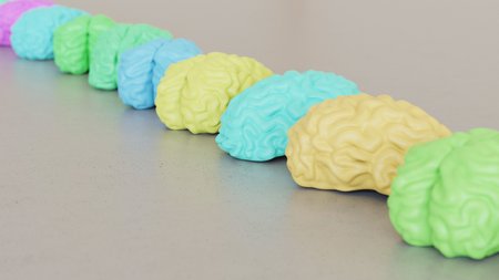 Neat line of variously oriented Brains on a modern minimalistic neutral surface. This image is a 3d rendering.の写真素材