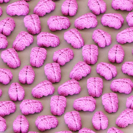 Perfect grid of pink Brains presented with even studio lighting and smooth depth of field. This image is a 3d illustration.の写真素材