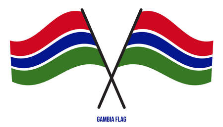 Gambia Flag Waving Vector Illustration on White Background. Gambia National Flag.のイラスト素材