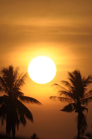 sunsetの写真素材