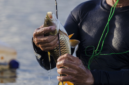 huntingの写真素材