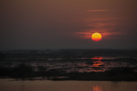Red Lotus Lakeの写真素材