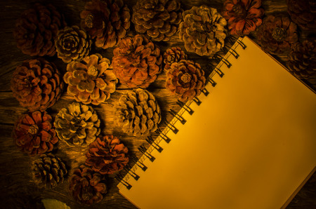 Pine flower backgroundの写真素材