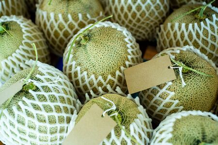 Fresh cantaloupe melon in the market, with labels for price tag