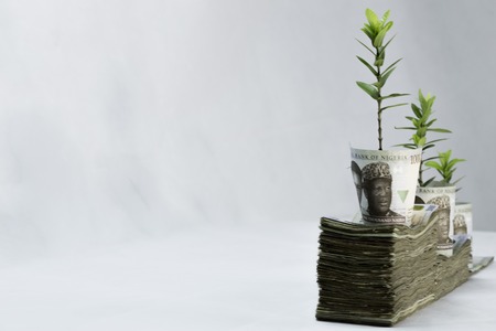 Money investment and Growth in naira white background
