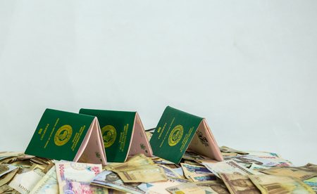International Passport with local currency notesの写真素材