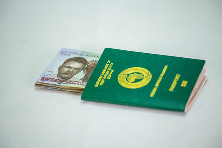 International Passport with local currency notesの写真素材