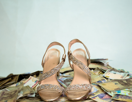 Naira cash heap with womens bag - concept of high fashion cost on white backgroundの写真素材