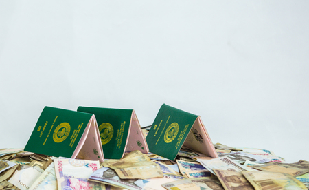 International Passport with local currency notesの写真素材
