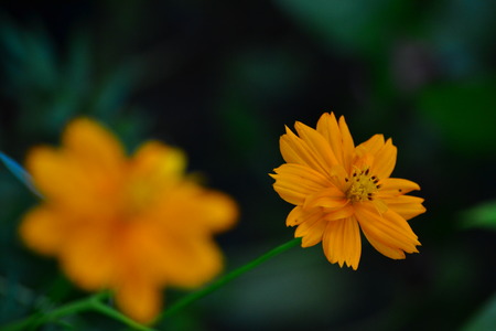 photo of thailandの写真素材