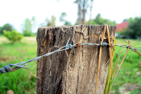 Old wooden post and barbed wire farm fence.の写真素材