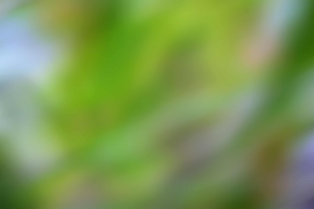 green blur abstract backgroundの写真素材