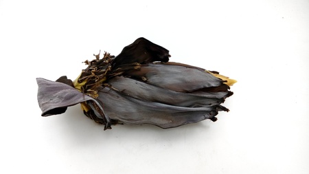 banana flowerの写真素材