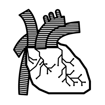 Heart line anatomy vector design for scienceのイラスト素材
