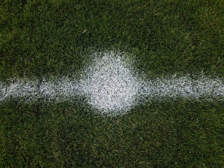 green grass with white spraypaintの写真素材