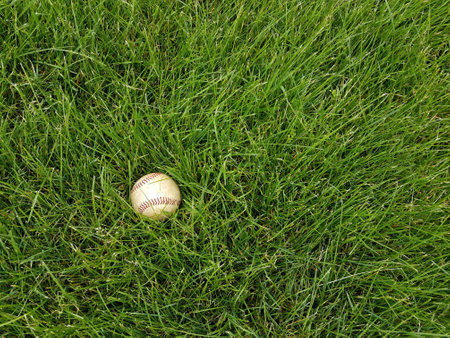 baseball in thick green grass