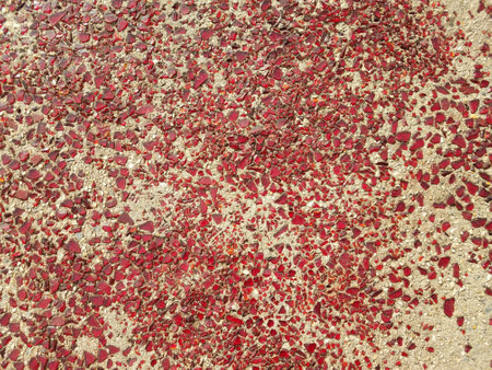 broken red glass in cementの写真素材