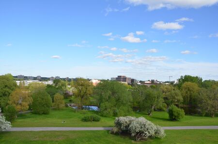 park with gren grass and path and trees and sky in Canada