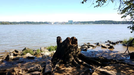 tree stump and rocks and river and National Harborの写真素材