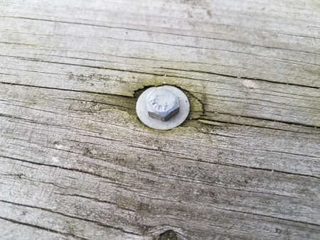 metal screw with washer in wood board