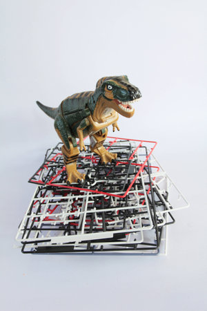 Model の写真素材