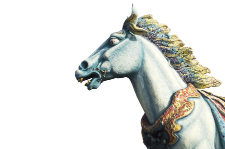 horse are furiously on white isolate backgroundの写真素材