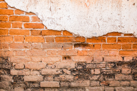 brick wallの写真素材