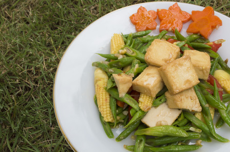 Vegetable and tofu stirfry dishes.の写真素材