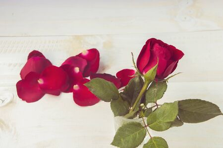 Valentines day heart backgroundの写真素材