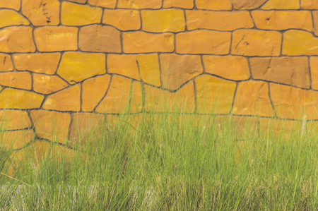 Close up grass and brick wall background.の写真素材